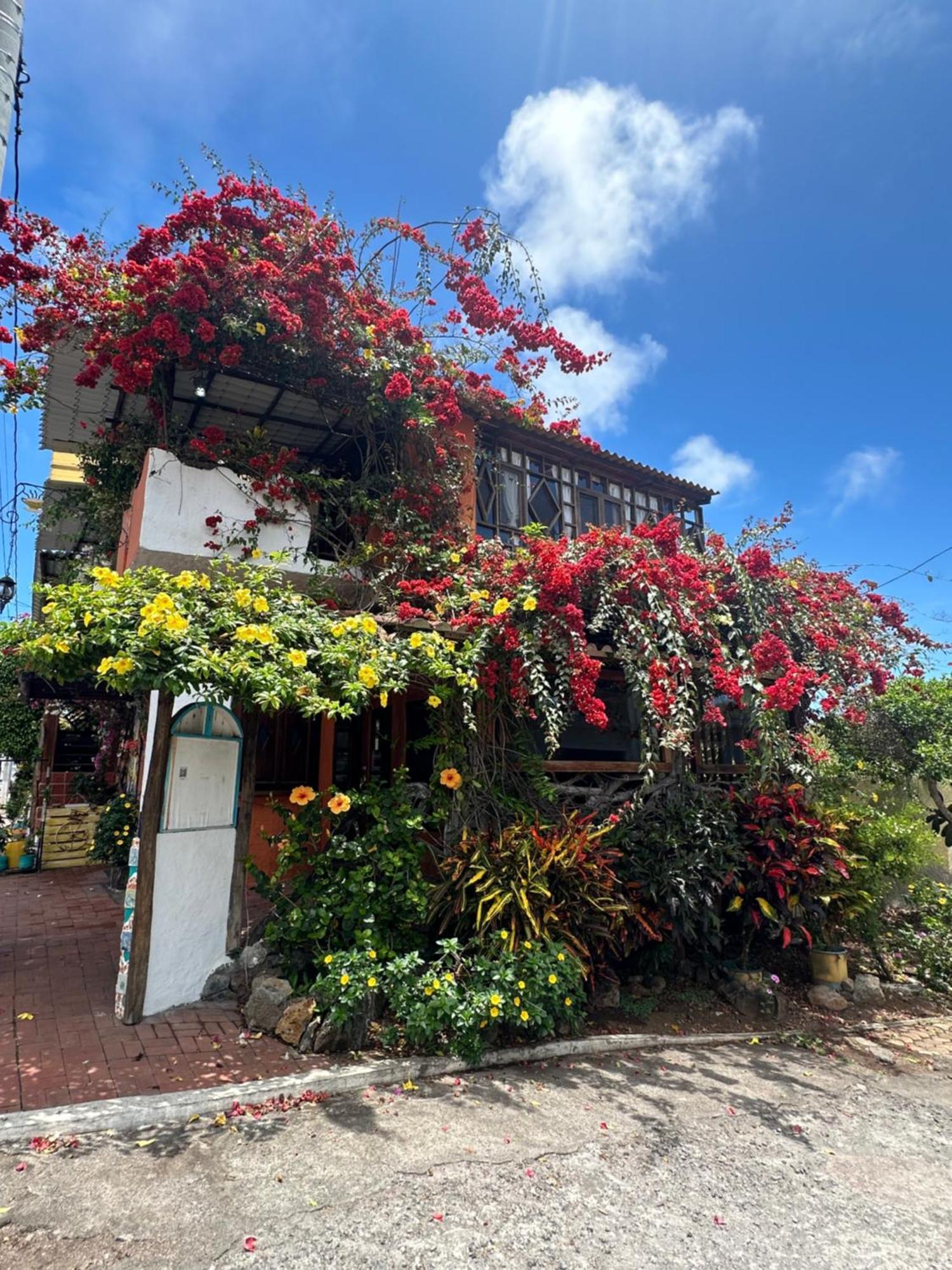 Casa Del Lago Lodging House Puerto Ayora  Luaran gambar